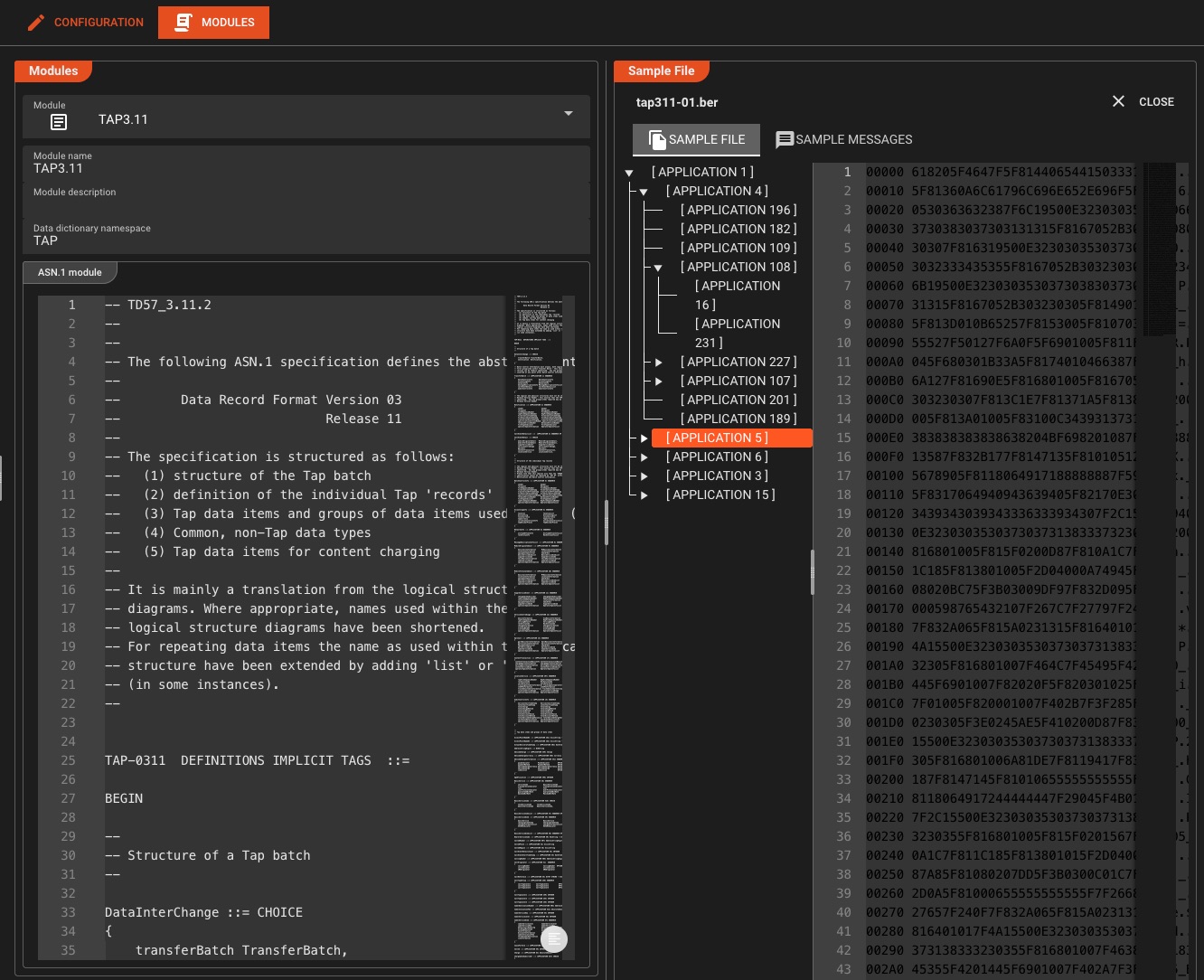 ASN.1 parser configuration